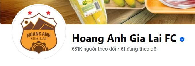 Bầu Đức lặng lẽ đổi lại logo cho Hoàng Anh Gia Lai sau khi chia tay bầu Thụy - Ảnh 3