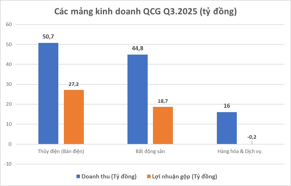 Đằng sau biến động lớn của Quốc Cường Gia Lai - Ảnh 3
