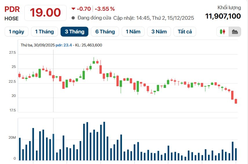 Giải mã tham vọng 1,5 tỷ USD của Phát Đạt - Ảnh 3