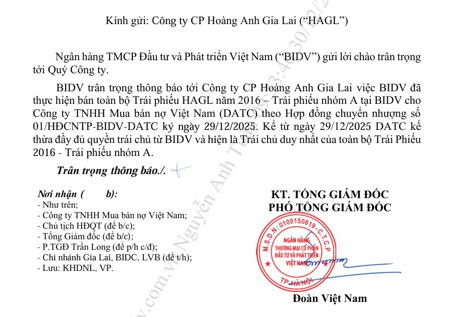 Công ty đặc biệt của Bộ Tài chính trở thành chủ nợ lớn của Hoàng Anh Gia Lai - Ảnh 1