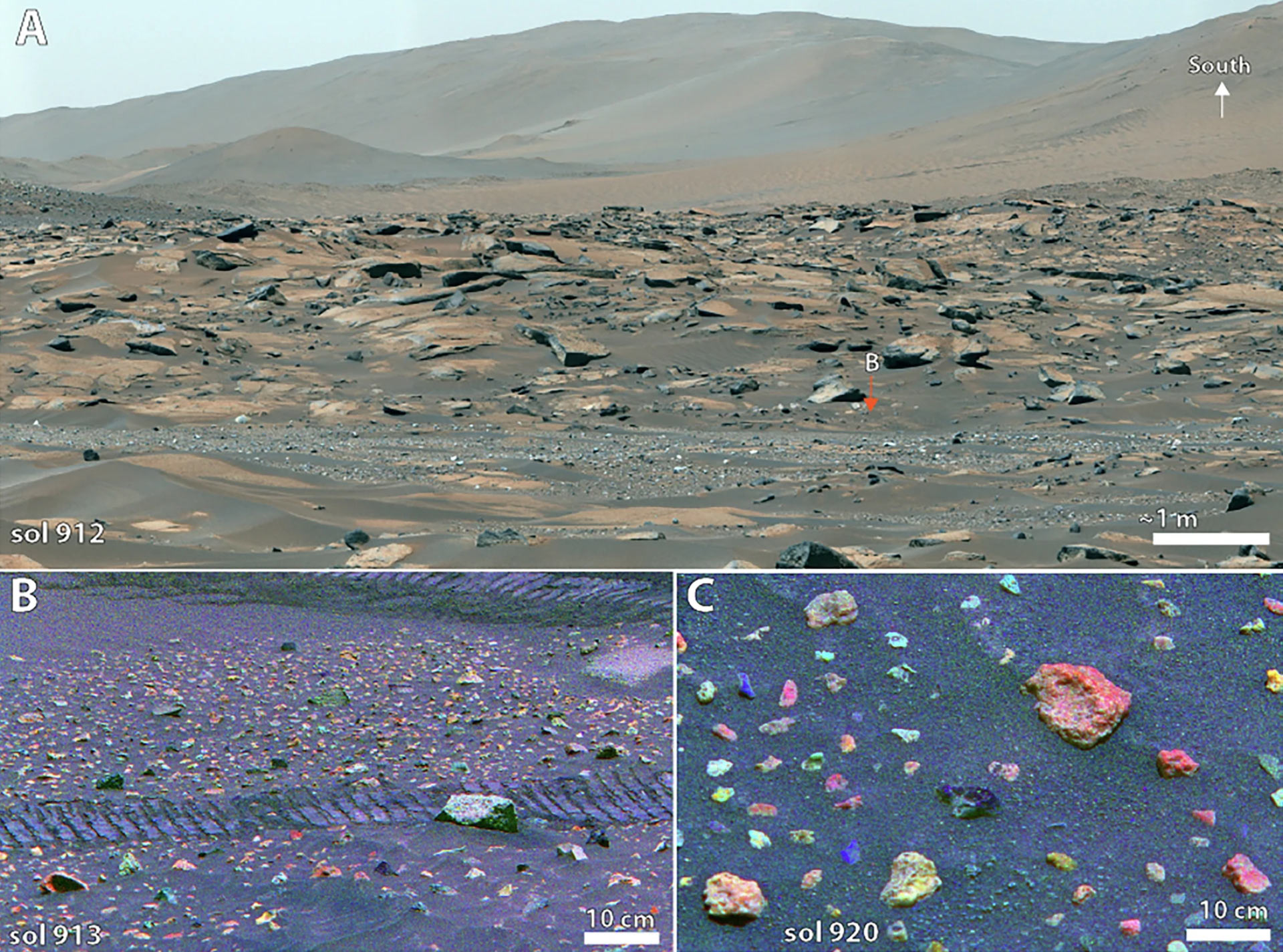 Một vùng đất ngoài hành tinh từng giống Đông Nam Á về khí hậu - Ảnh 1