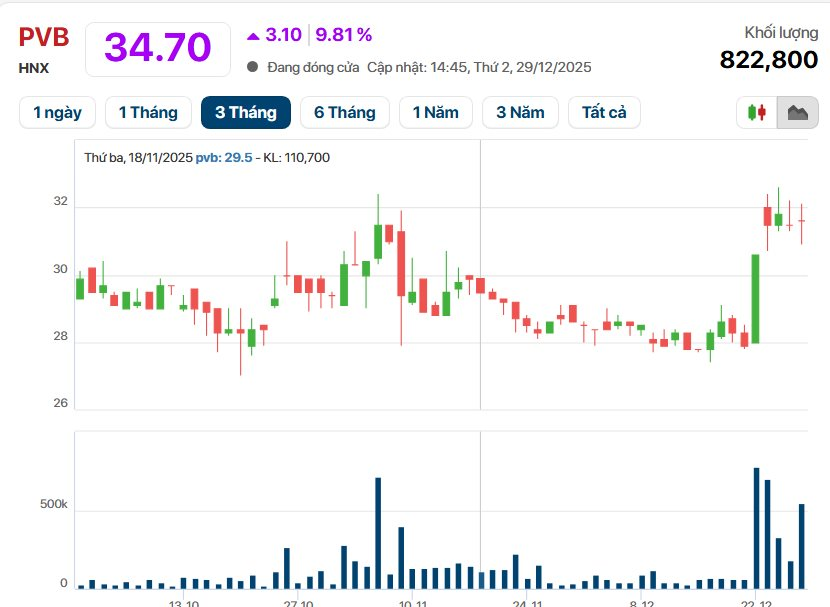 Thủ tướng Phạm Minh Chính chỉ đạo tại Hội nghị tổng kết PVN: Nhóm cổ phiếu năng lượng ‘phản ứng’ ngay, riêng PVB tăng kịch trần - Ảnh 3