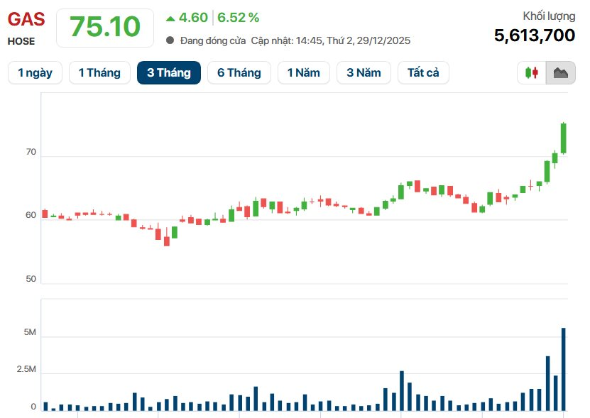 Thủ tướng Phạm Minh Chính chỉ đạo tại Hội nghị tổng kết PVN: Nhóm cổ phiếu năng lượng ‘phản ứng’ ngay, riêng PVB tăng kịch trần - Ảnh 4