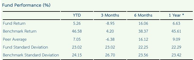 Đằng sau nỗi buồn thua cuộc tại SEA Games, gia tộc Tỷ phú Madam Pang vẫn âm thầm đầu tư chục nghìn tỷ đồng vào Việt Nam - Ảnh 2