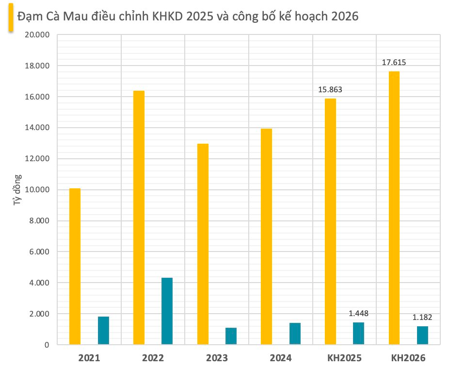 Đạm Cà Mau nâng gấp đôi chỉ tiêu lợi nhuận 2025 lên 1.448 tỷ đồng - Ảnh 2