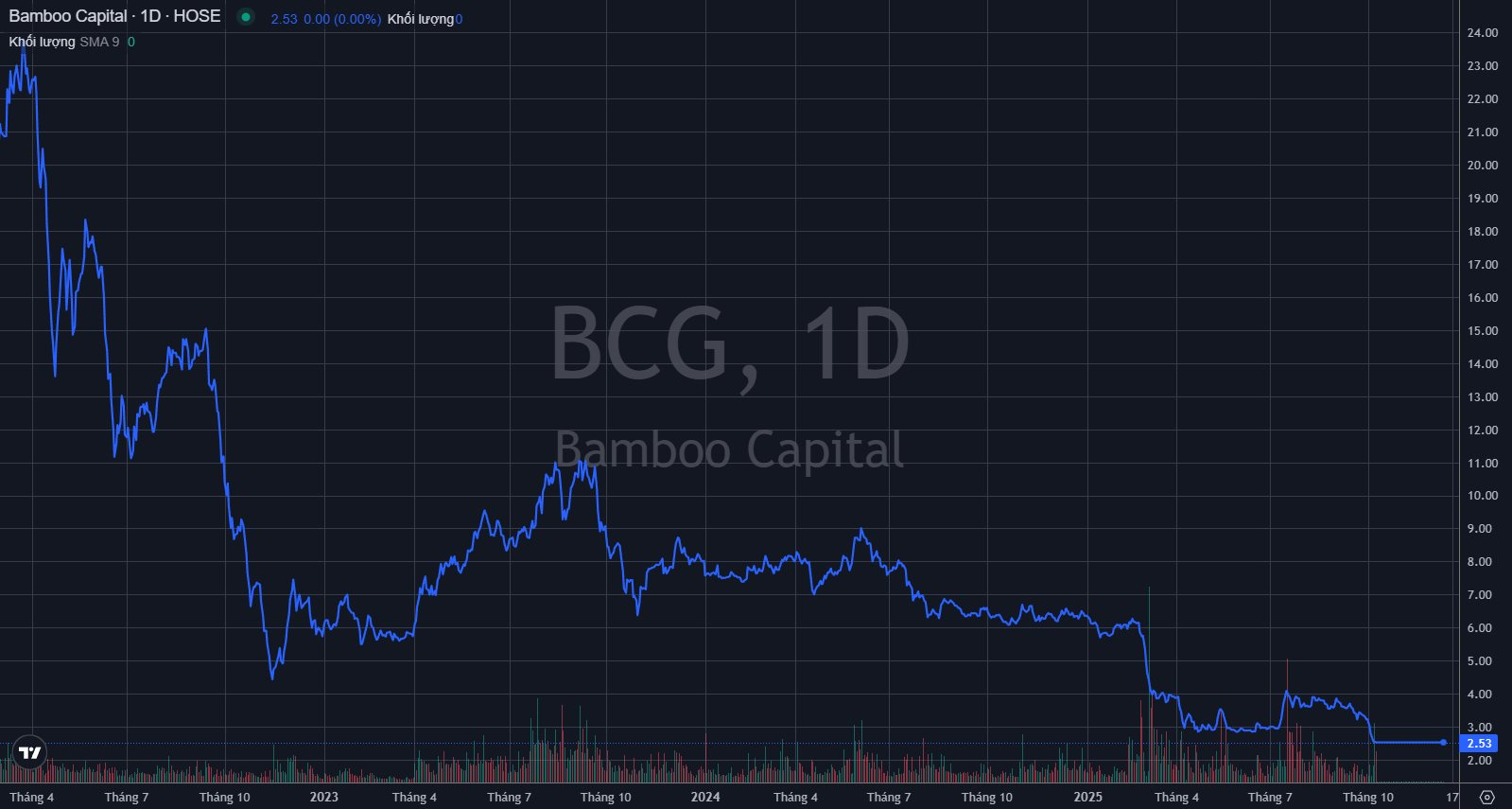 Hơn 51.000 cổ đông “ôm” một cổ phiếu bị đình chỉ, doanh nghiệp lần đầu hé lộ tài chính sau biến cố, dự kiến còn lỗ tới hết năm 2027 - Ảnh 1