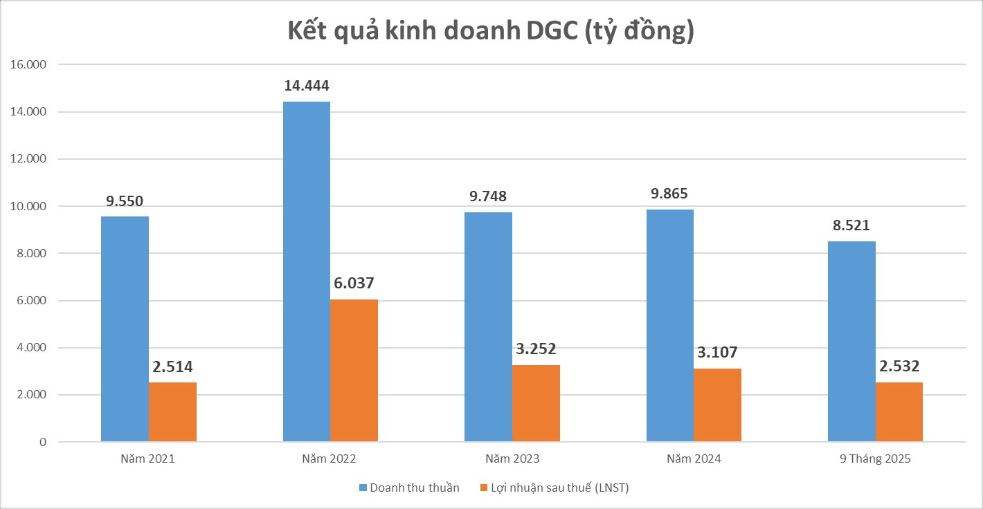 DGC nắm giữ 13.000 tỷ đồng tiền mặt: Bất động sản hay hóa chất mới là "át chủ bài" của ông vua phốt pho? - Ảnh 2