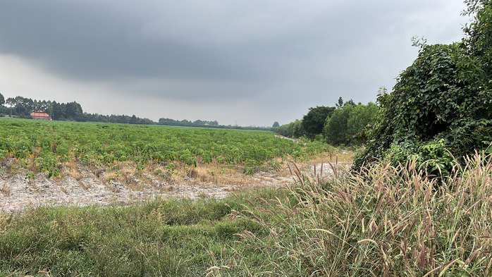 Cận cảnh khu đất giá khởi điểm hơn 5.000 tỉ đồng ở Đồng Nai - Ảnh 6