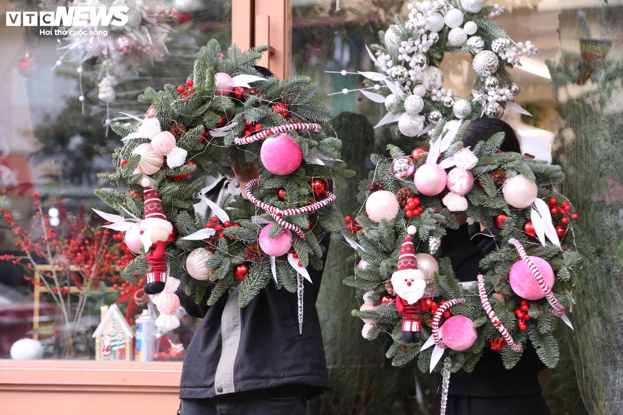 Đại gia Hà Nội chi hơn 100 triệu đồng mua thông tươi nhập khẩu đón Giáng sinh - Ảnh 9