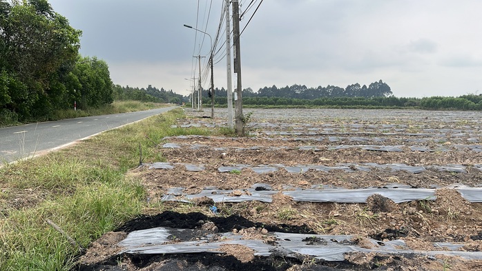 Cận cảnh khu đất giá khởi điểm hơn 5.000 tỉ đồng ở Đồng Nai - Ảnh 2