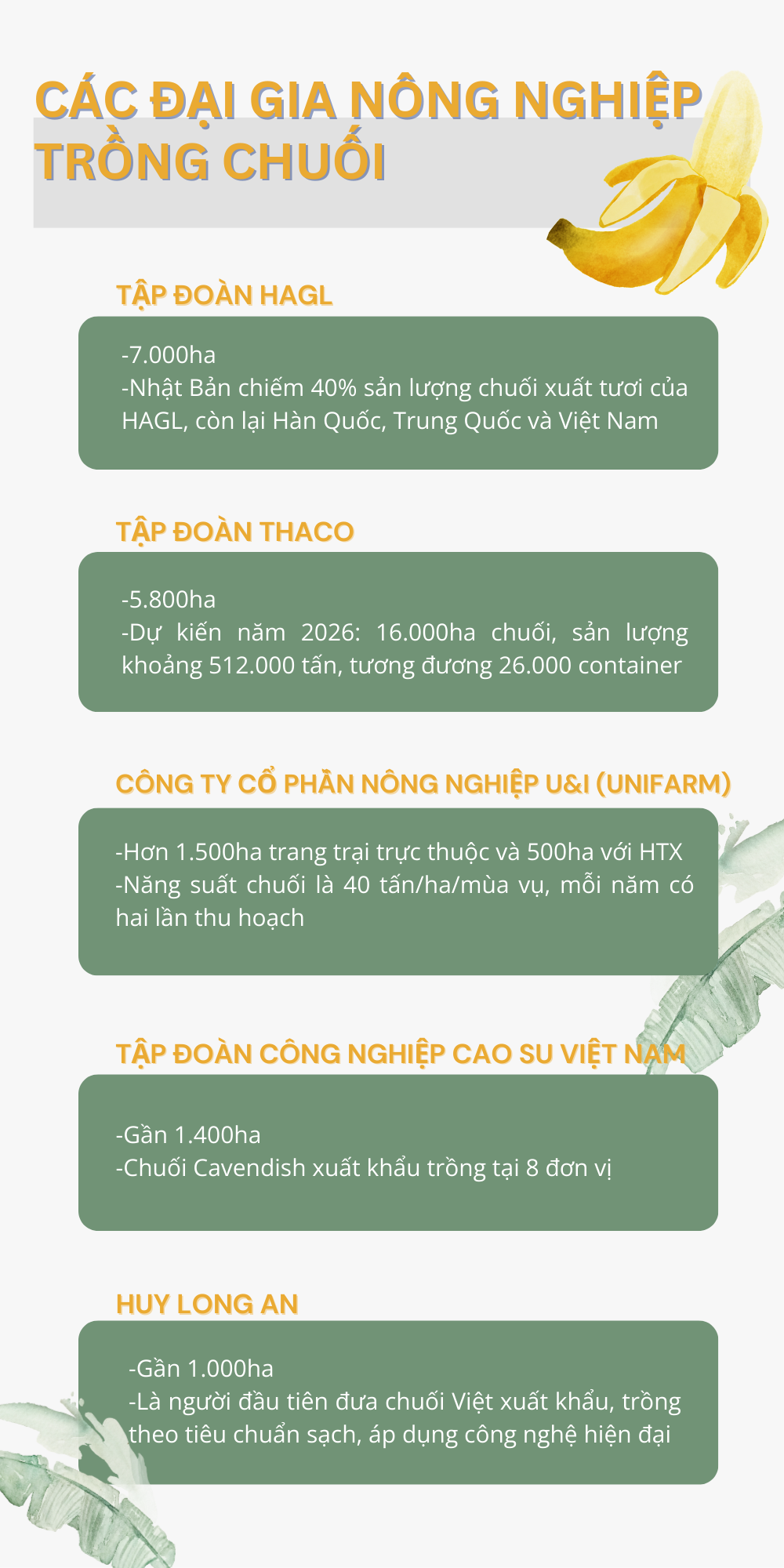 'Trái cây hạnh phúc' của Việt Nam khiến Nhật Bản, Trung Quốc tranh phần nhập khẩu, một loạt đại gia chạy đua mở rộng diện tích - Ảnh 2