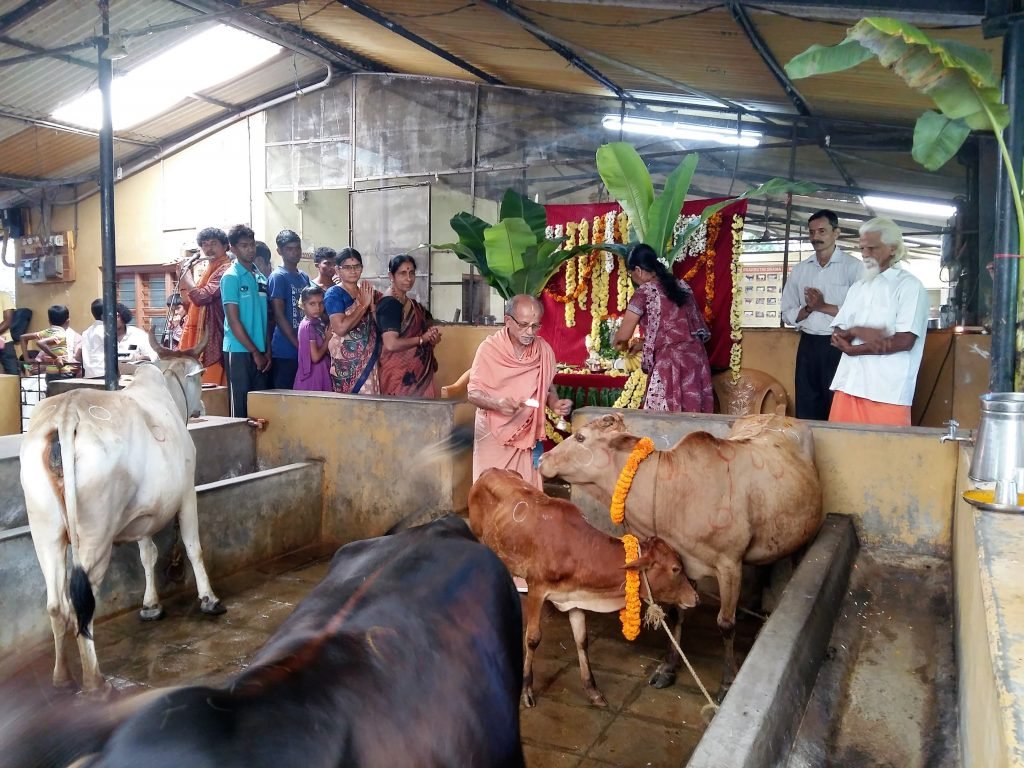 Ấn Độ nuôi hơn 500 triệu con bò nhưng không ăn thịt, mà biến chất thải của chúng thành mỏ vàng tỷ đô - Ảnh 4