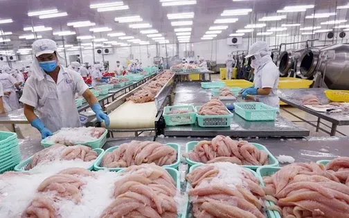Xuất khẩu thuỷ sản có thể lập kỷ lục mới trong năm 2025 - Ảnh 1
