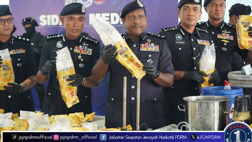 Thu giữ 18.000kg ma túy trị giá 9.534 tỷ đồng trong biệt thự ba tầng - Ảnh 1