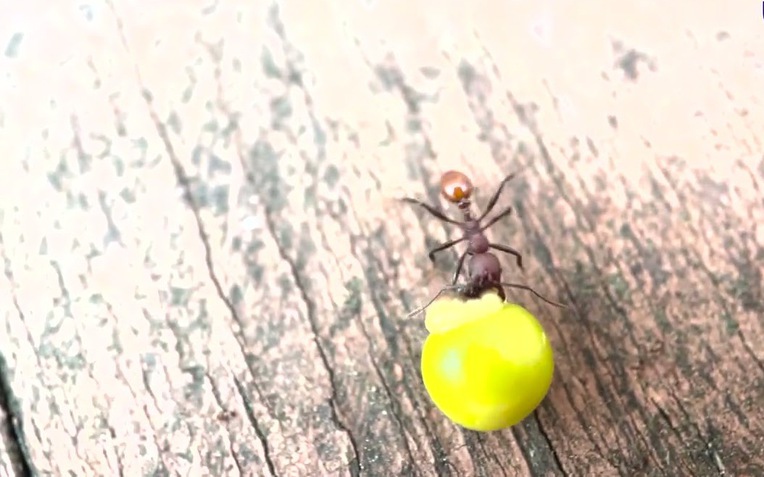 Phát hiện ở sân sau nhà của một cậu bé 8 tuổi đã thực sự thay đổi khoa học mãi mãi - Ảnh 1