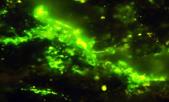 Một tảng đá 2 tỷ năm tuổi vừa nứt ra, để lộ bên trong bí mật chấn động - Ảnh 3