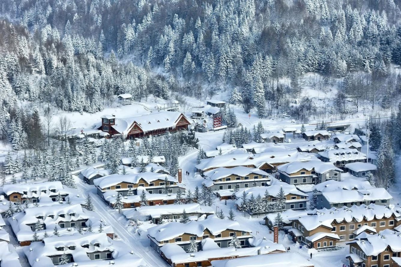 Các 'pháp sư Trung Hoa' biến mùa đông khắc nghiệt thành mùa 'hốt bạc' như thế nào? - Ảnh 4