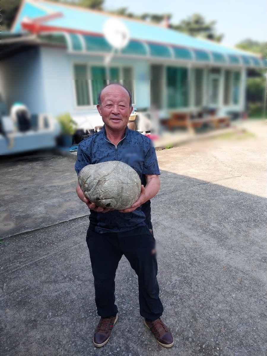 Ông lão nông dân nhặt được kho báu tiền tỷ khi đi cắt cỏ - Ảnh 1