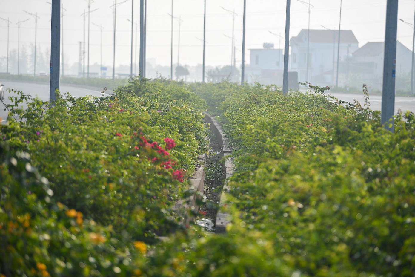 Ngắm 'siêu dự án' giao thông 6.000 tỷ kết nối vùng ven biển Ninh Bình - Ảnh 4