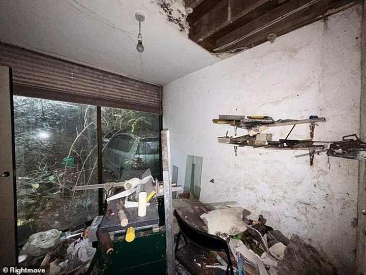 Cảnh tượng khó tin bên trong ngôi nhà hoang đổ nát, giá hơn 34 tỷ đồng - Ảnh 7