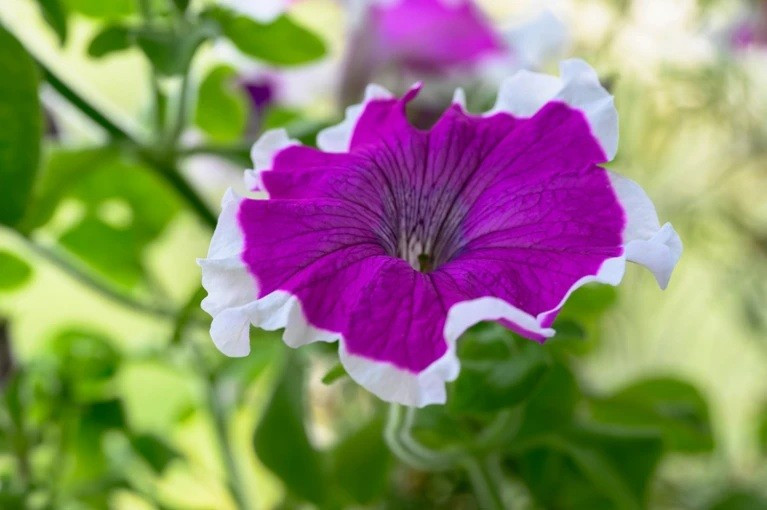 Những ý tưởng 'điên rồ' thay đổi thế giới - Ảnh 6