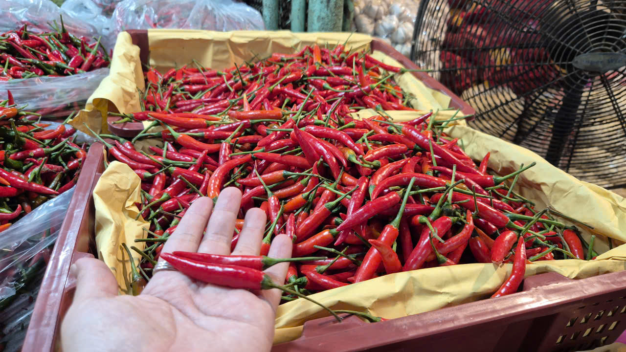 Khó tin: Việt Nam chi hơn 23 triệu USD để nhập khẩu ớt - Ảnh 1