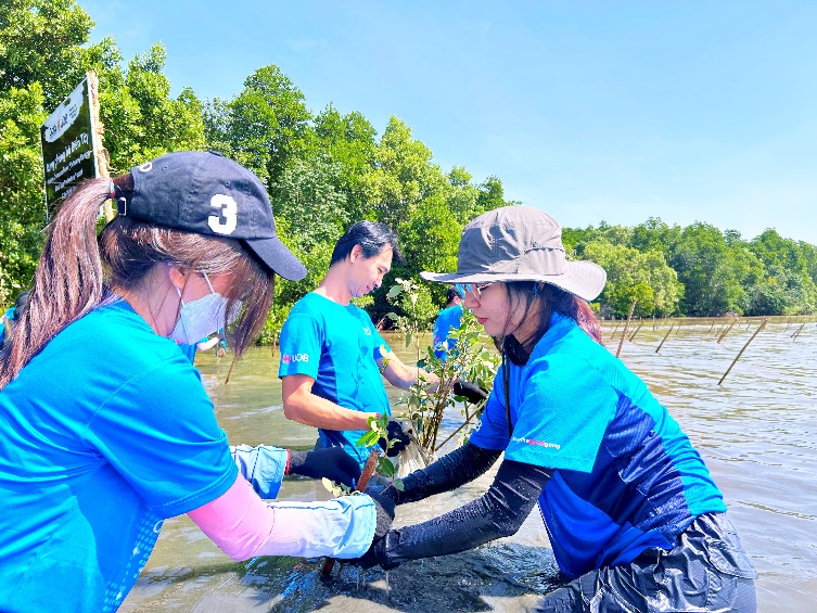 Ngân hàng UOB Việt Nam khởi động dự án trồng 10.000 cây tại rừng phòng hộ Biển Tây, chung tay vì nỗ lực chống biến đổi khí hậu ở Việt Nam - Ảnh 2