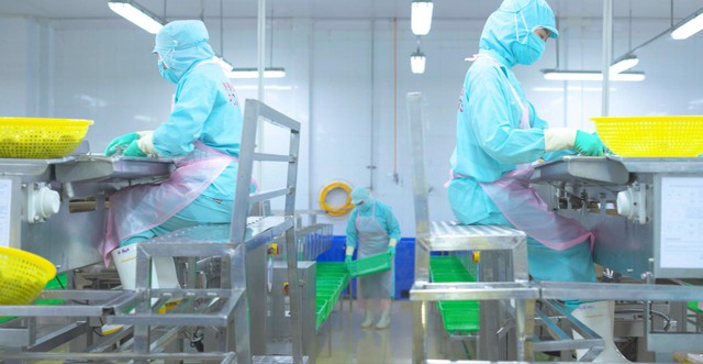 De Heus và Minh Phú phát triển bền vững chuỗi giá trị ngành tôm Việt Nam - Ảnh 2