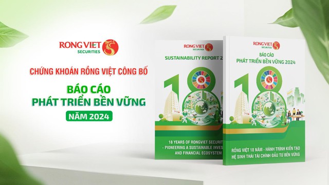 Chứng khoán Rồng Việt nhận cú đúp giải thưởng tại VLCA 2025 - Ảnh 4