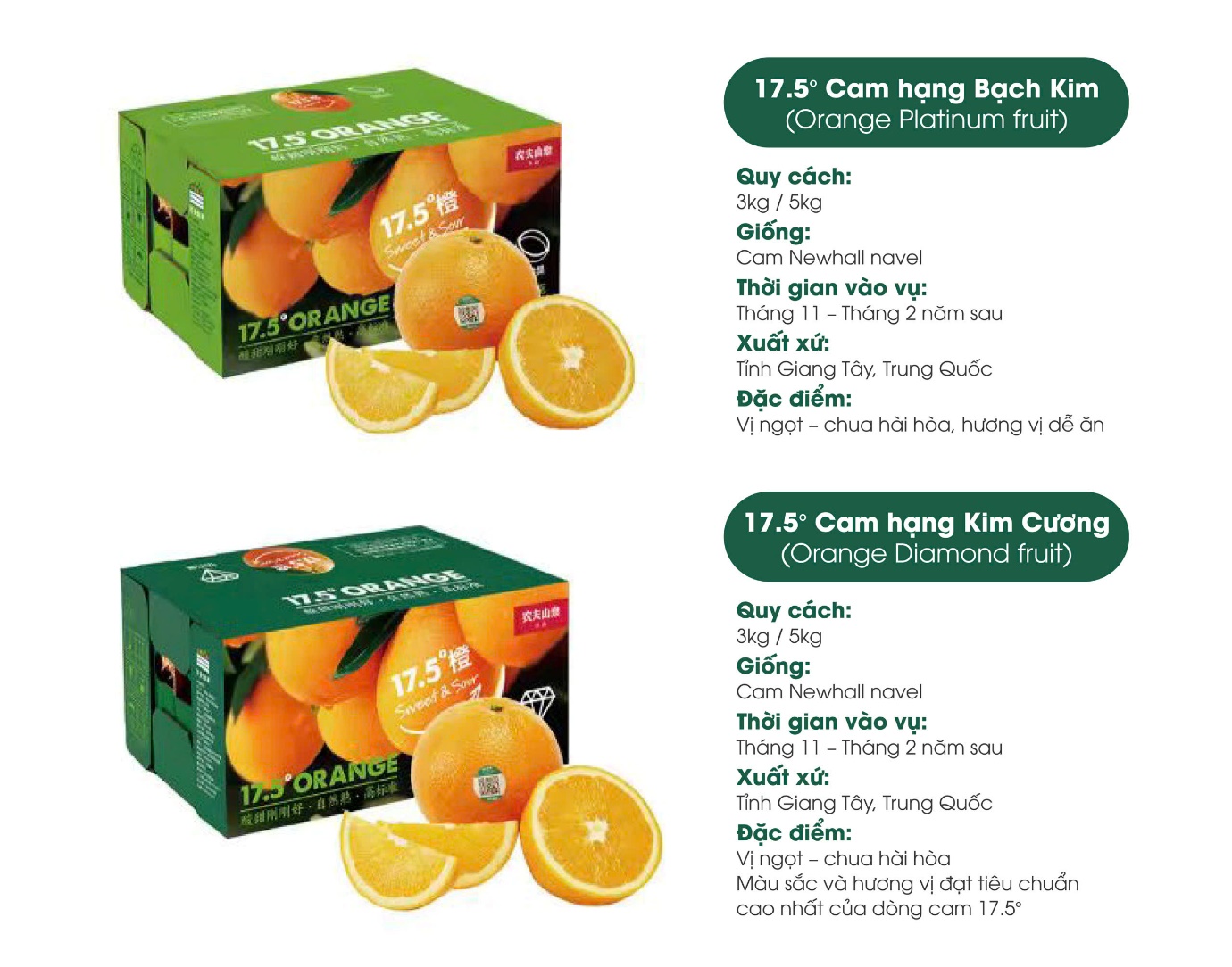 Cam 17.5° Nongfu Spring nổi tiếng tại Trung Quốc sắp về Việt Nam - Ảnh 3