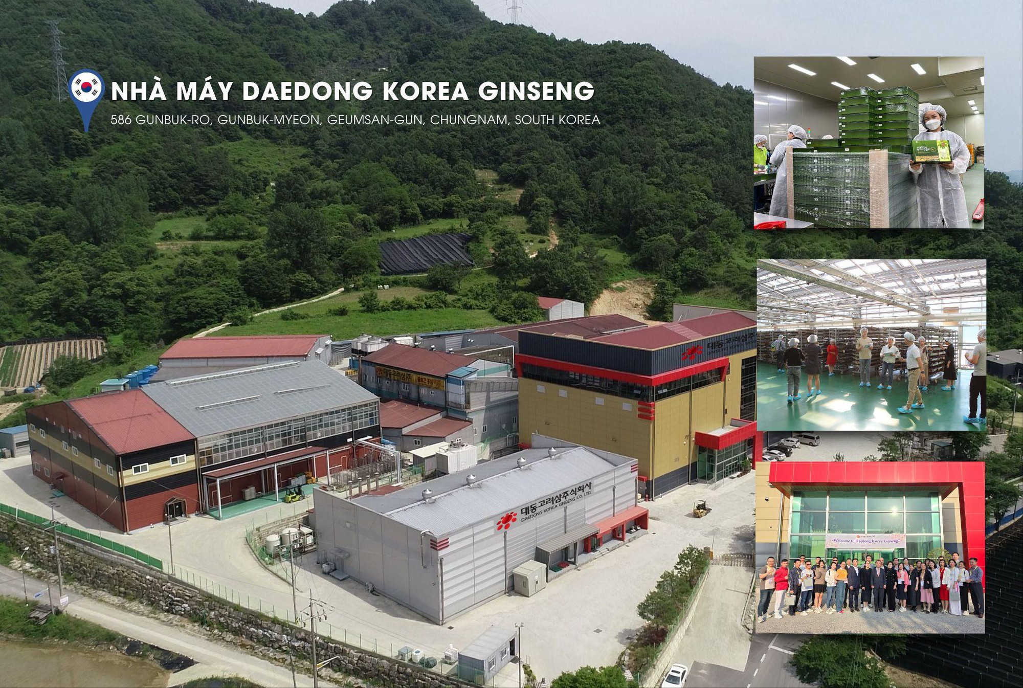 DKG trở thành lựa chọn quà Tết của nhiều doanh nghiệp năm 2025 - Ảnh 4