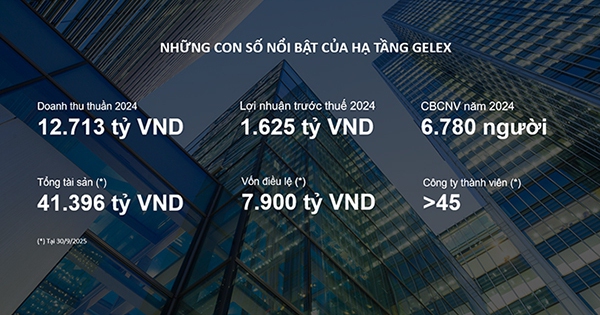 Hạ tầng GELEX kinh doanh ra sao trước thềm IPO?