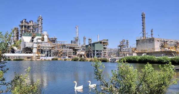 BSR chủ động vượt “bão” năm 2026