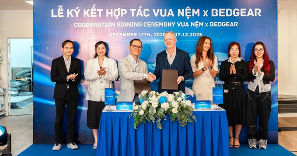 Vua Nệm x Bedgear: Mở rộng chuẩn trải nghiệm giấc ngủ hiệu năng cao