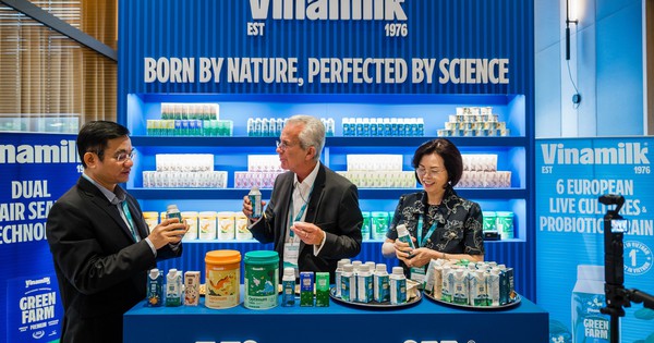 Giải mã “DNA” phức tạp của một ly sữa mang hậu vị 20 loại cỏ hoa