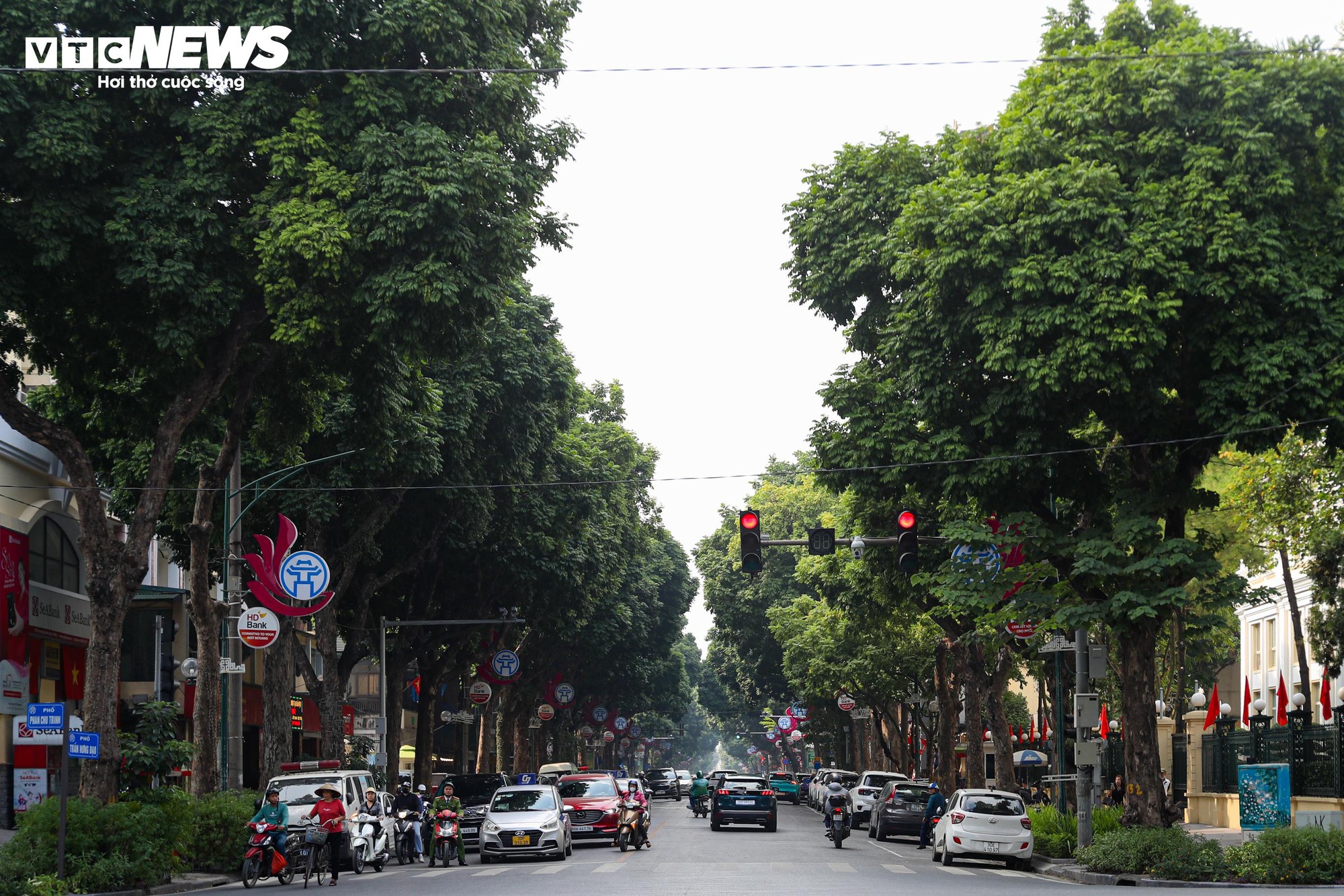 Toàn cảnh phường nhỏ nhất Hà Nội có 6 nhà hát, 3 bảo tàng, 3 trường đại học - Ảnh 1