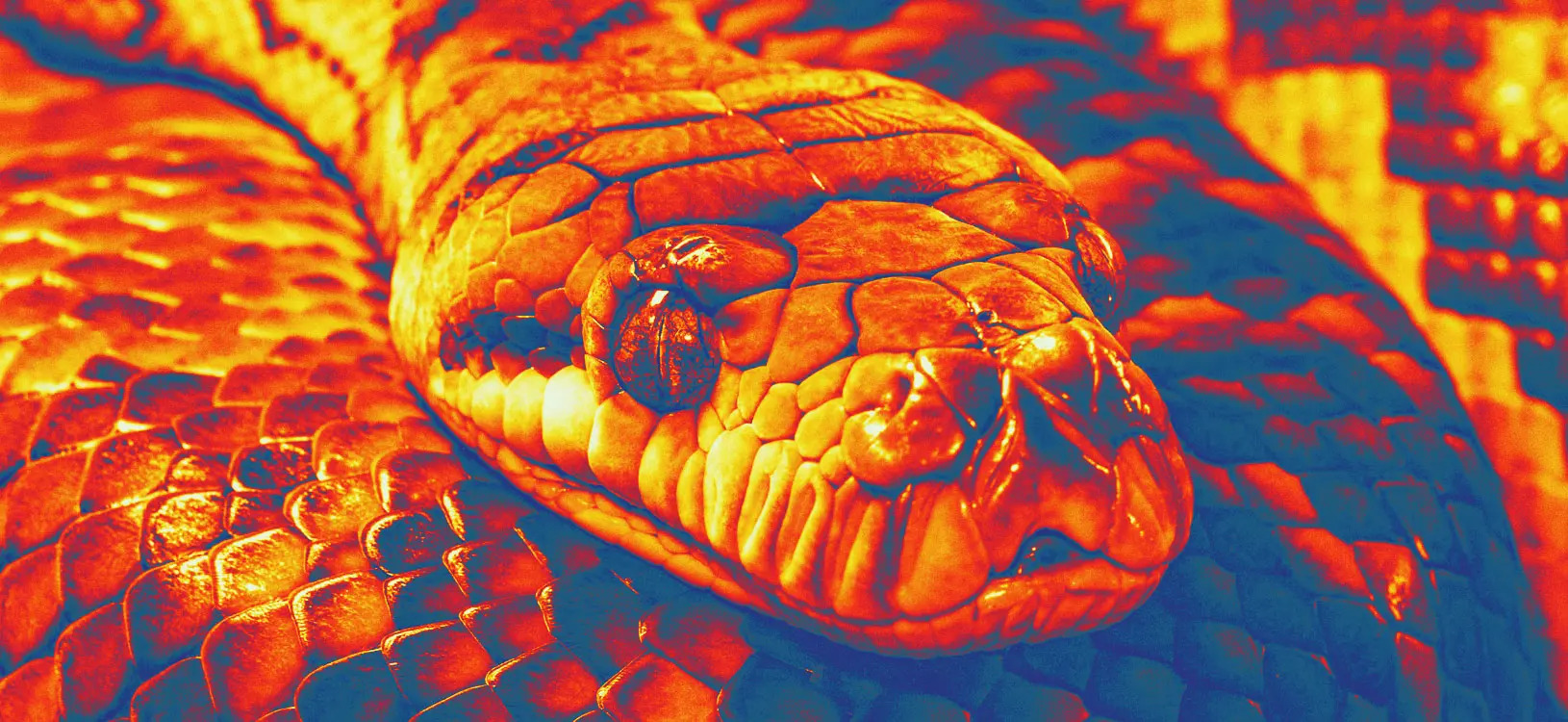 Phát minh "công nghệ nhìn nhiệt giống mắt rắn" có thể rung chuyển ngành công nghiệp quốc phòng - Ảnh 1