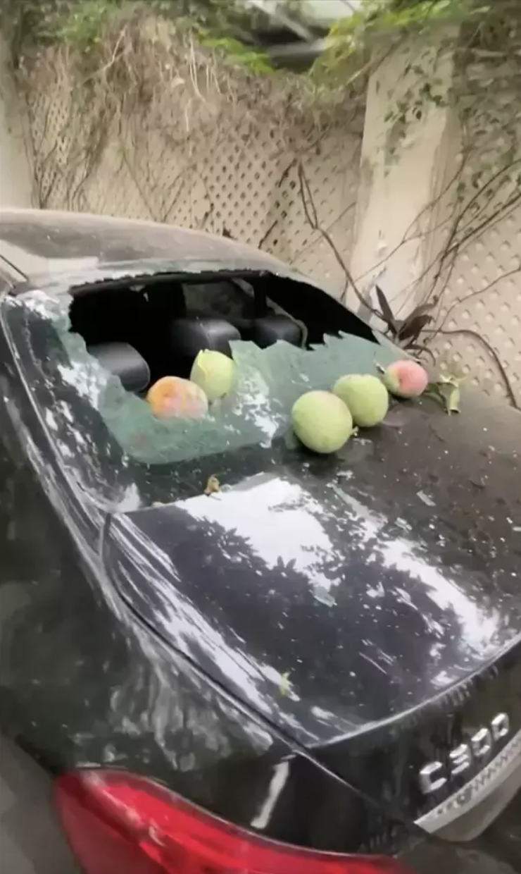 Quả xoài "tai tiếng" nhất Việt Nam: Khiến một nữ đại gia tốn cả trăm triệu vẫn chỉ biết "im lặng chịu trận" - Ảnh 4