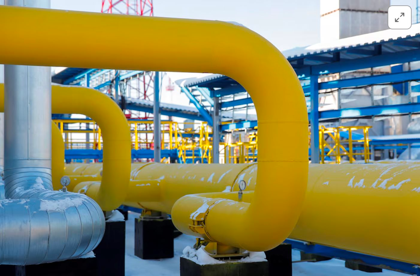 Nga đón tin vui - Ảnh 1