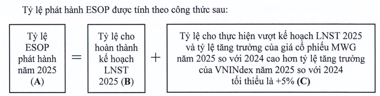 MWG bứt phá ngày cuối năm, VN-Index cũng không kém cạnh: Lãnh đạo công ty khó được ESOP lớn? - Ảnh 1
