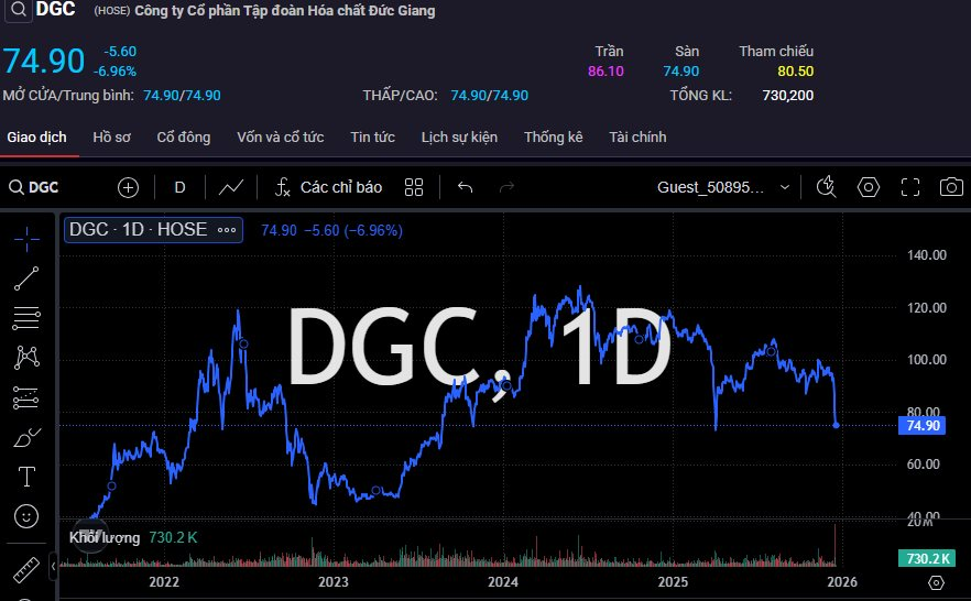 Cổ đông Hoá chất Đức Giang mòn mỏi chờ giải cứu DGC - Ảnh 1