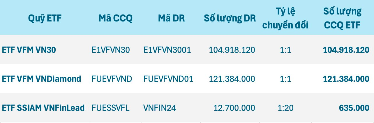 Những ngọn hải đăng dẫn vốn ngoại cập bến thị trường chứng khoán Việt Nam - Ảnh 2