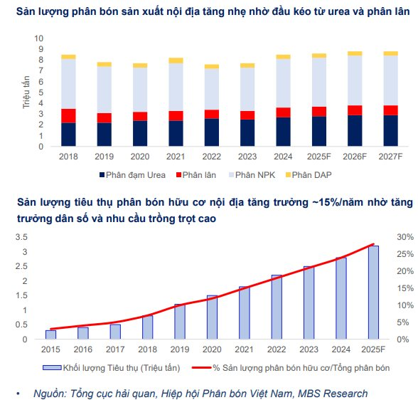 CTCK điểm tên doanh nghiệp phân bón tiềm năng 2026, kỳ vọng tăng trưởng 2 chữ số - Ảnh 1