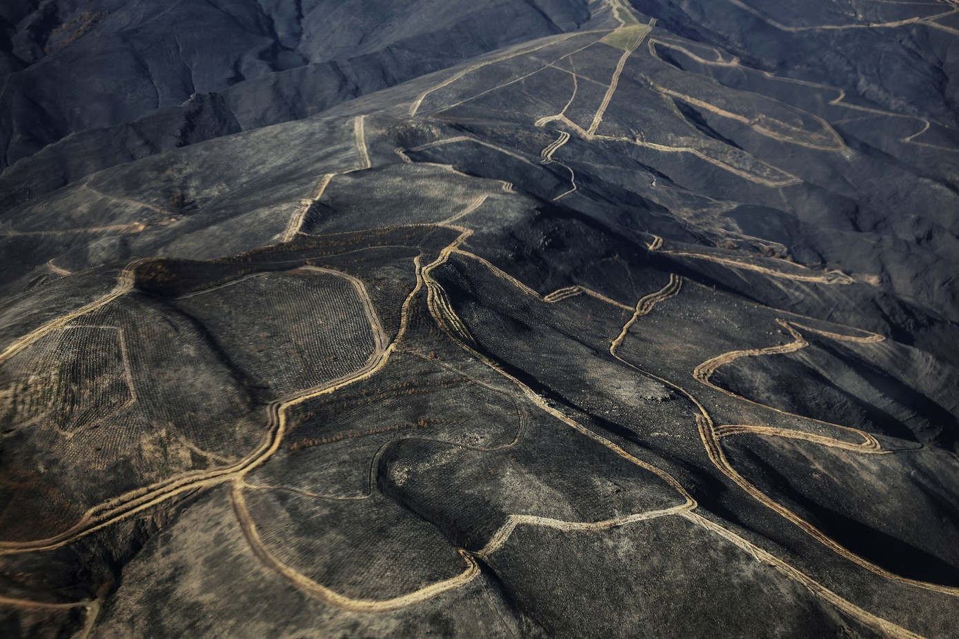 Cháy rừng, lũ lụt, động đất trên khắp thế giới: Thiên tai phủ bóng năm 2025 - Ảnh 8