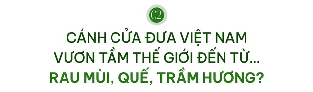 Khi những nguyên liệu “nhà nào cũng có” trở thành kho báu để doanh nghiệp Việt vươn tầm thế giới - Ảnh 4