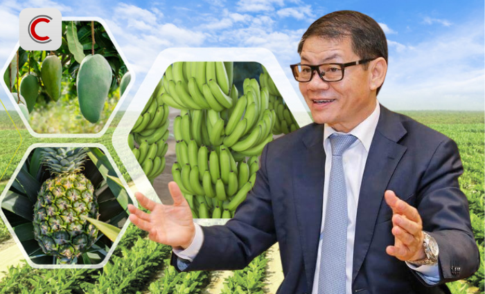 Tỷ phú Trần Bá Dương kể về thương vụ bán chuối trong 10 năm cho "ông trùm" nông nghiệp Fresh Del Monte: Chúng tôi phải cam kết nếu chất lượng dưới 90% chuẩn sẽ bị phạt 1 USD mỗi thùng (13 kg) - Ảnh 1