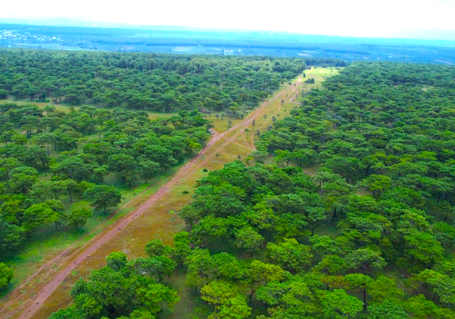 Chấp thuận chủ trương đầu tư sân golf nghìn tỷ ở Gia Lai - Ảnh 1