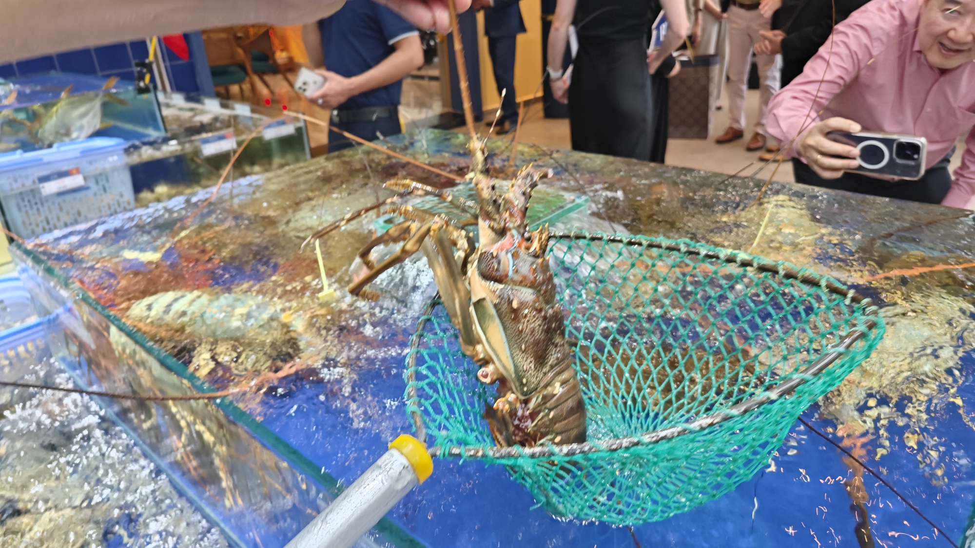 Xuất khẩu tôm lập kỷ lục - Ảnh 1