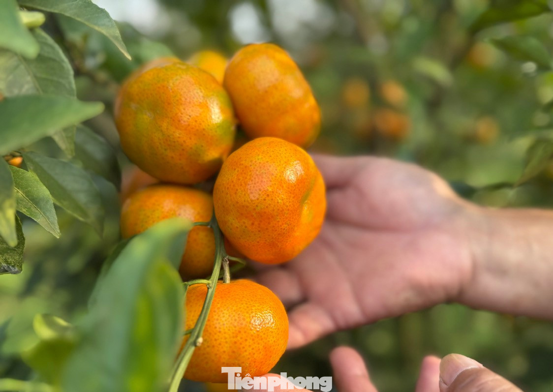 Phú Thọ xây dựng kịch bản tăng trưởng GRDP năm 2026 ở mức 11% - Ảnh 2