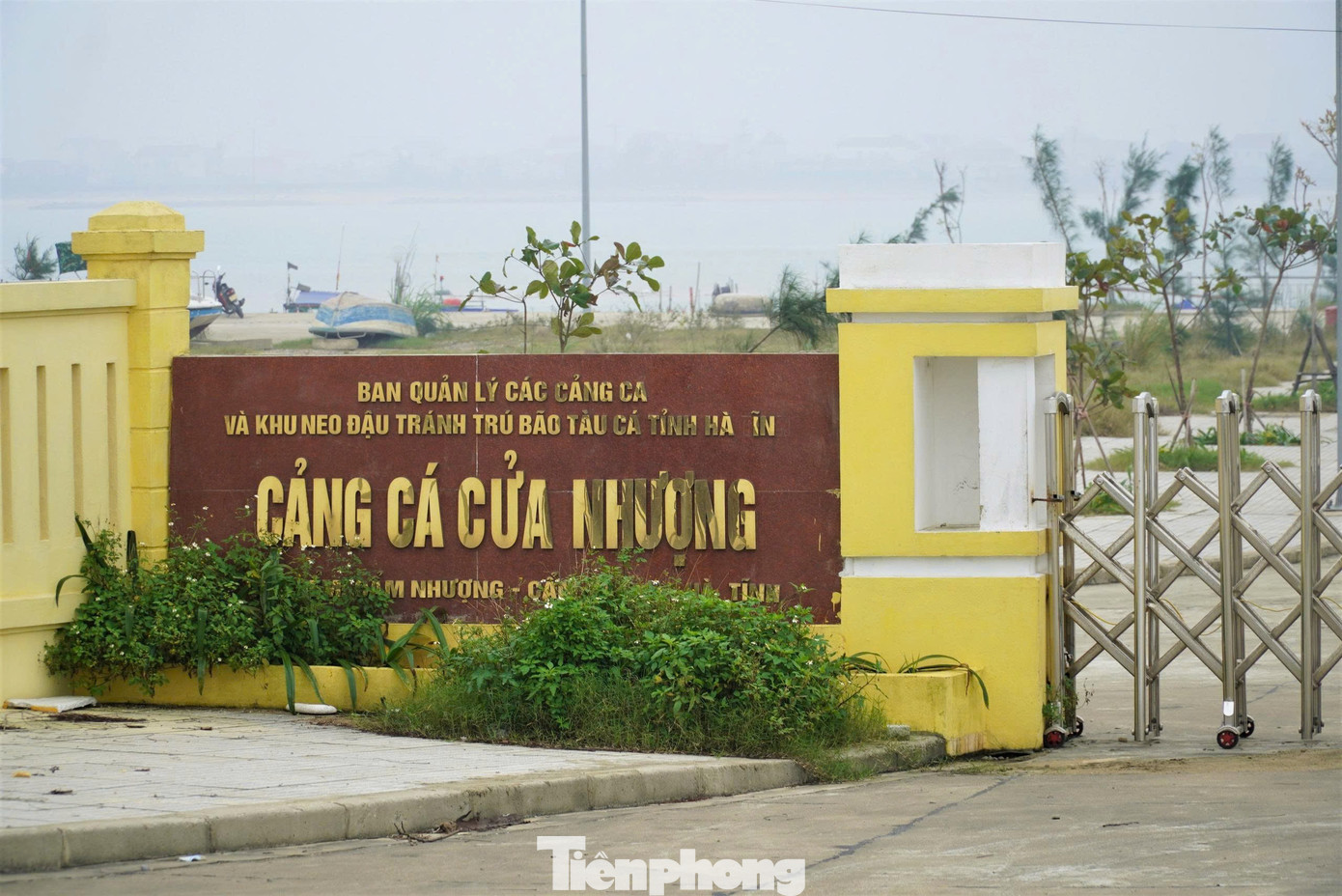 Cận cảnh cảng cá 280 tỷ đồng vừa đưa vào khai thác tại Hà Tĩnh - Ảnh 12
